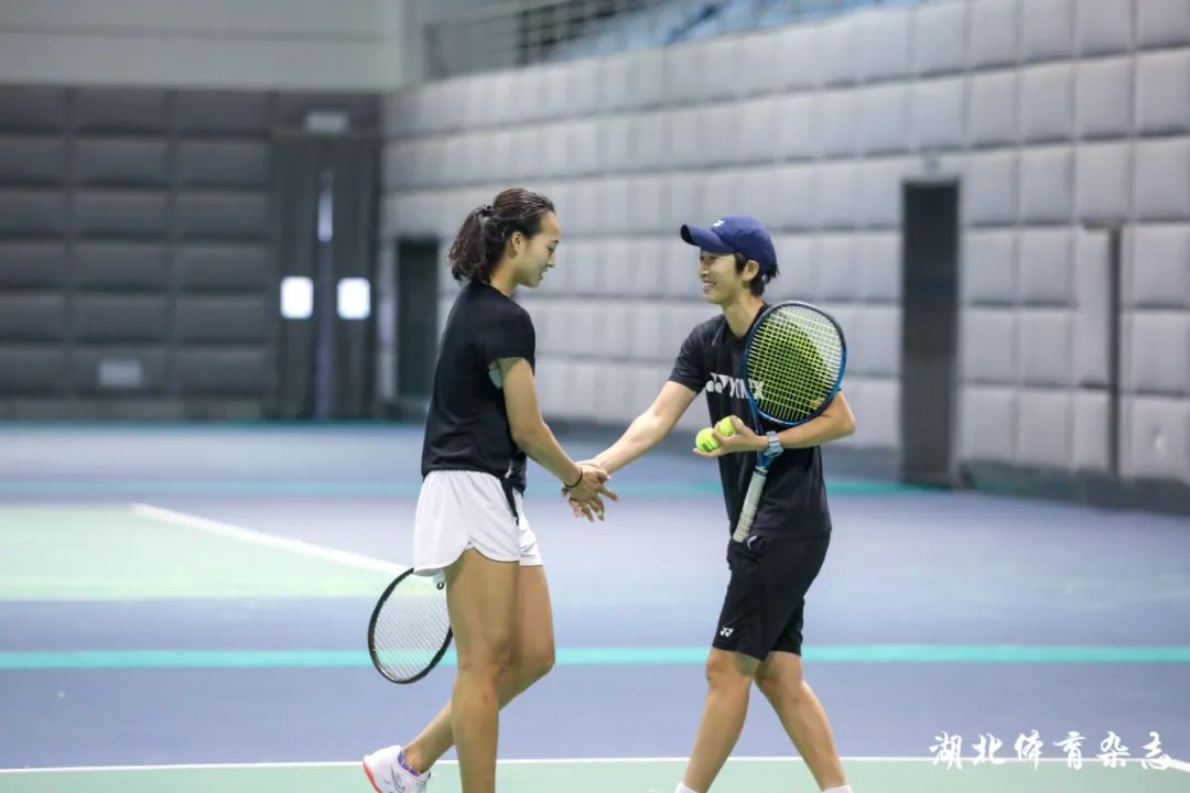 迷和新观众 迷和新观众